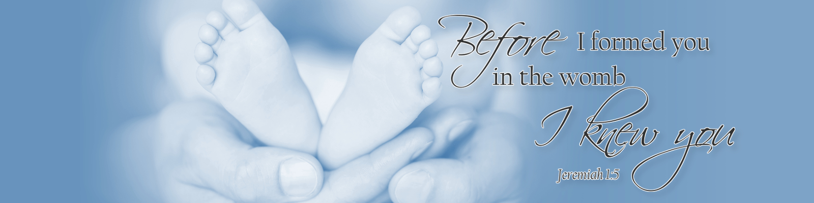Before I formed you in the womb, I knew You. Iowa Pro-Life Action