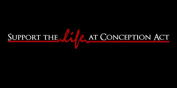 2017 is Our Chance to Defend the Unborn! 2017 is Our Chance to Defend the Unborn!